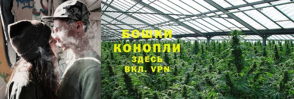 шишки Орск