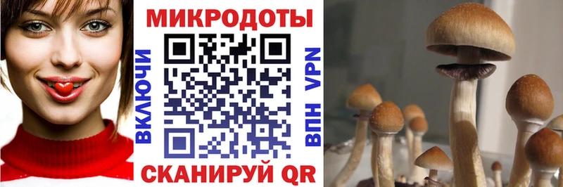 Псилоцибиновые грибы Magic Shrooms  Ангарск 