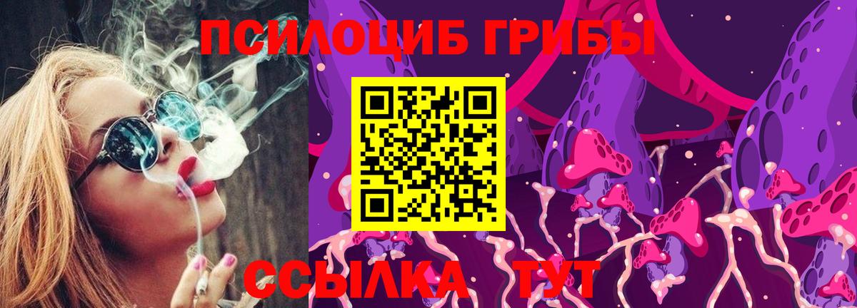 как найти закладки  Псилоцибиновые грибы Psilocybine cubensis  Вход с VPN  Ангарск 